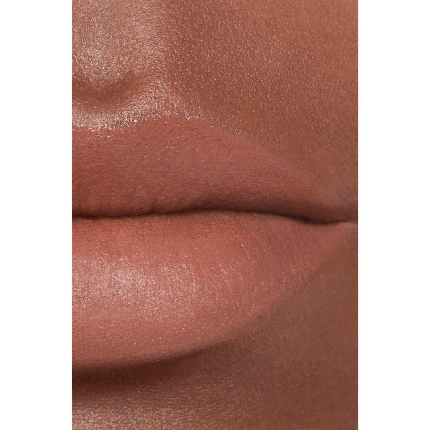 LA BARRA DE LABIOS ATERCIOPELADA LUMINOSA